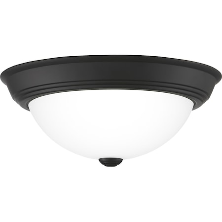 Quoizel Erwin Flush Mount ERW1613MBK
